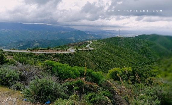 Novembre 54 bruissait dans les plaines et les plateaux de mon enfance algérienne