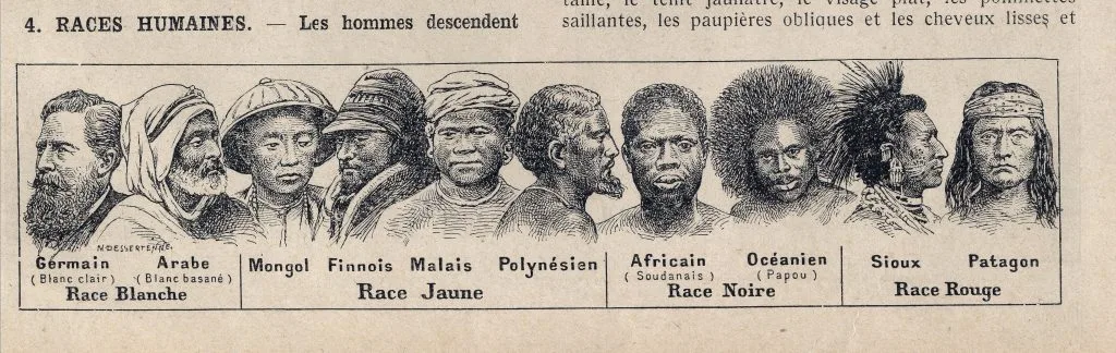 Race est un vocable inapproprié à l'espèce humaine