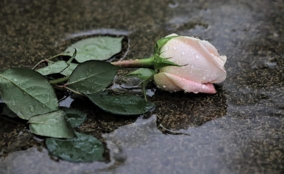 Il pleut sur mes souvenirs