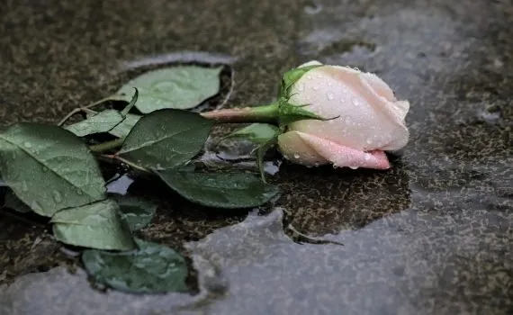 Il pleut sur mes souvenirs