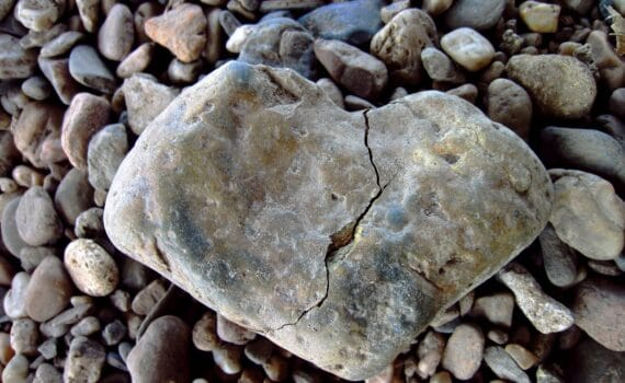 La haine est un sentiment destructeur pour soi-même