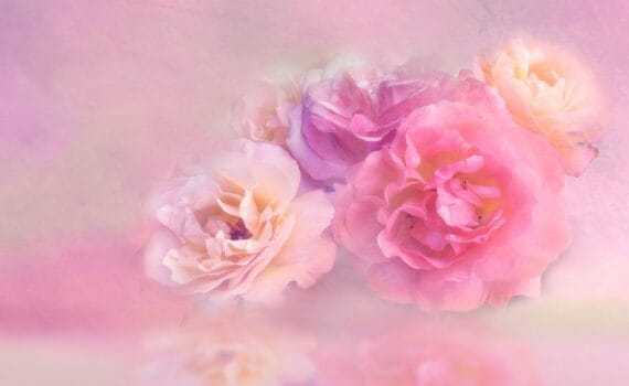 Mensonges : leurs graves conséquences dans la société