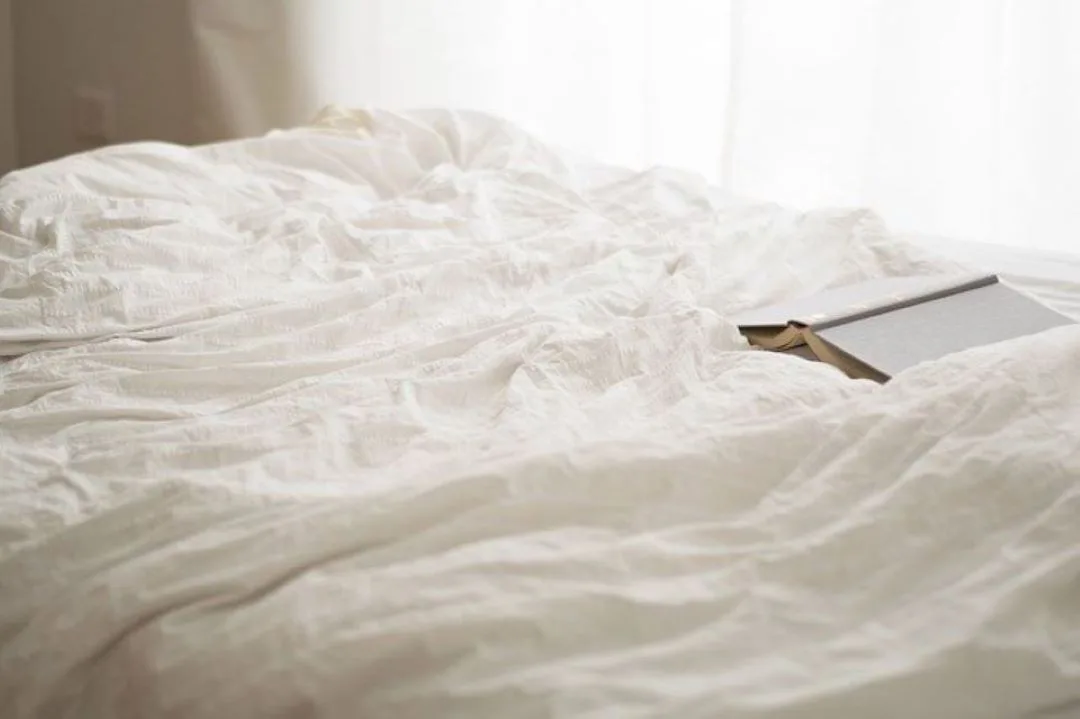 Punaises de lit : une recrudescence inquiétante en France Punaises de lit : une recrudescence inquiétante en France