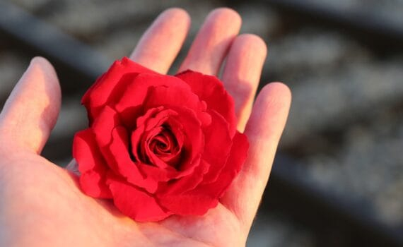 Mémoire et oubli : puissants pouvoirs méconnus du cerveau