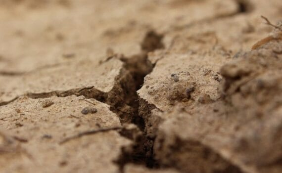 Netanyahou est aux abois et démontre la faillite d’une idéologie liberticide et criminelle : le sionisme