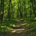 Conseils pratiques pour préserver votre bien-être et vous protéger des nuisances externes Conseils pratiques pour préserver votre bien-être et vous protéger des nuisances externes