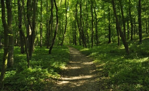 Conseils pratiques pour préserver votre bien-être et vous protéger des nuisances externes