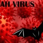 Nipah : Que sait-on de ce virus identifié en 1998 et qui inquiète notamment en Inde ? Nipah : Que sait-on de ce virus identifié en 1998 et qui inquiète notamment en Inde ?