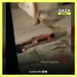 Vidéo choquante : Tsahal mutile un palestinien de 17 ans à, l'aide d'un bulldozer après l'avoir assassiné Vidéo choquante : Tsahal mutile un palestinien de 17 ans à, l'aide d'un bulldozer après l'avoir assassiné