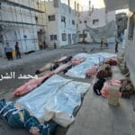 Le Génocide sioniste à Gaza se poursuit pour le 412e jour, en perpétrant plus de 148 200 victimes, la majorité des enfants et femmes Le Génocide sioniste à Gaza se poursuit pour le 412e jour, en perpétrant plus de 148 200 victimes, la majorité des enfants et femmes