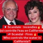 Californie Incendies : un couple milliardaire proche d’Israël serait responsable en raison d’une gestion catastrophique Californie Incendies : un couple milliardaire proche d’Israël serait responsable en raison d’une gestion catastrophique