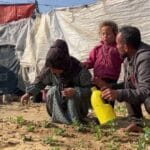 Cessez-le-feu à Gaza : Al-Majalla rapporte avoir obtenu le texte de l'accord et d'échange Cessez-le-feu à Gaza : Al-Majalla rapporte avoir obtenu le texte de l'accord et d'échange