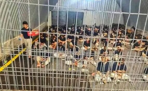 Témoignages sur les crimes de guerre et les violations des droits de l’homme commis par Israël sur des civils et des prisonniers