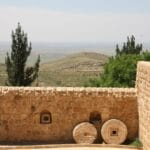 Quelles sont les limites de l'horreur qu'il faudrait atteindre pour que les consciences humaines interviennent et fassent cesser ces massacres en Palestine ? Quelles sont les limites de l'horreur qu'il faudrait atteindre pour que les consciences humaines interviennent et fassent cesser ces massacres en Palestine ?