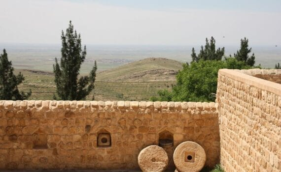 Quelles sont les limites de l'horreur qu'il faudrait atteindre pour que les consciences humaines interviennent et fassent cesser ces massacres en Palestine ?