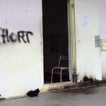 En Moselle, une mosquée a été vandalisée : croix gammées, tapis de prières arrachés, mobiliers retournés En Moselle, une mosquée a été vandalisée : Croix gammées, tapis de prières arrachés, mobiliers retournés