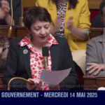 La députée LFI Andrée Taurinya dénonce le temps perdu par Macron pour mettre fin au génocide à Gaza La députée LFI Andrée Taurinya dénonce le temps perdu par Macron pour mettre fin au génocide à Gaza