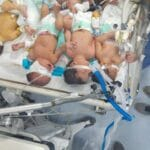 Nourrissons prématurés à Gaza en danger de mort faute d’électricité Nourrissons prématurés à Gaza en danger de mort faute d’électricité
