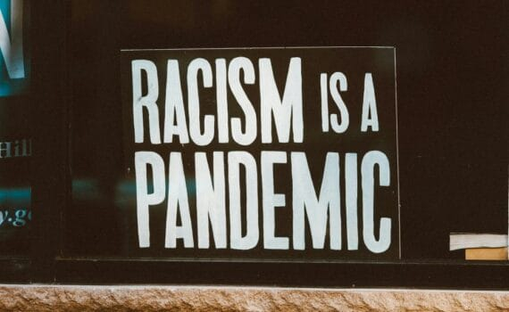 Réflexions et critiques sur l'identité et la diversité en France