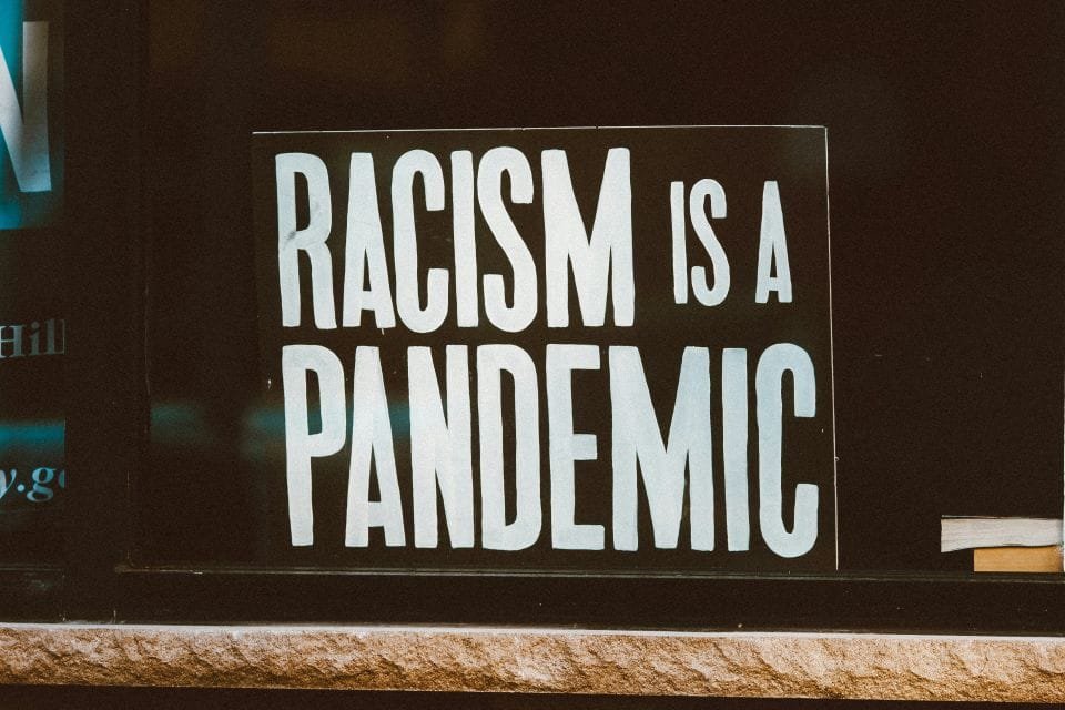 Réflexions et critiques sur l'identité et la diversité en France