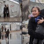 UNRWA : la crise humanitaire à Gaza et les entraves d'Israël à l'acheminement des secours sur place