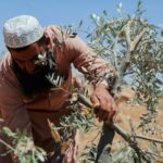 Pendant ce temps : l'annexion de la Cisjordanie s'accélère alors qu'Israël profite de la guerre contre l'Iran