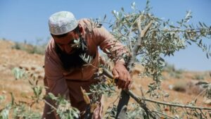 Pendant ce temps : l'annexion de la Cisjordanie s'accélère alors qu'Israël profite de la guerre contre l'Iran