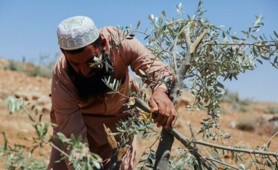 Pendant ce temps : l'annexion de la Cisjordanie s'accélère alors qu'Israël profite de la guerre contre l'Iran