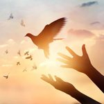 Stress et émotions : comprendre leurs effets